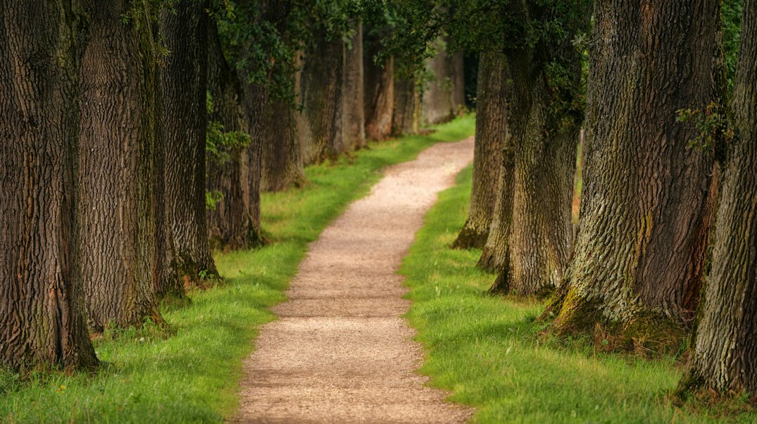 it career path