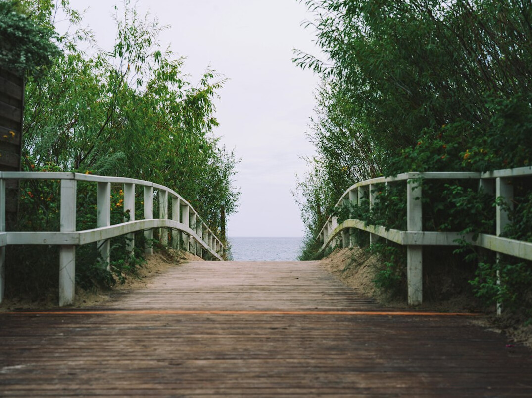 it career path
